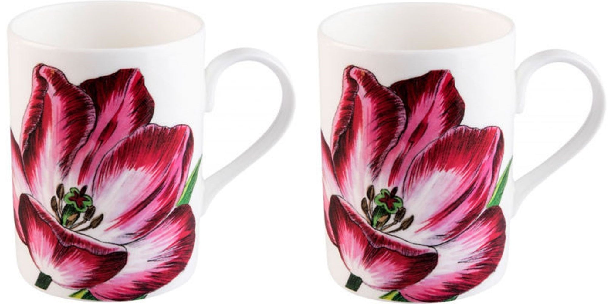 Roy Kirkham Lucy Mugs - Botanica Set of 2, Color: Pink