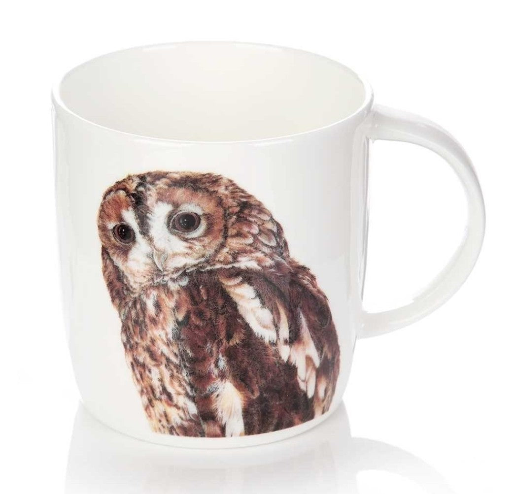 Roy Kirkham SOPHIE MUG - OWLS, Set of 2, Brown Owl