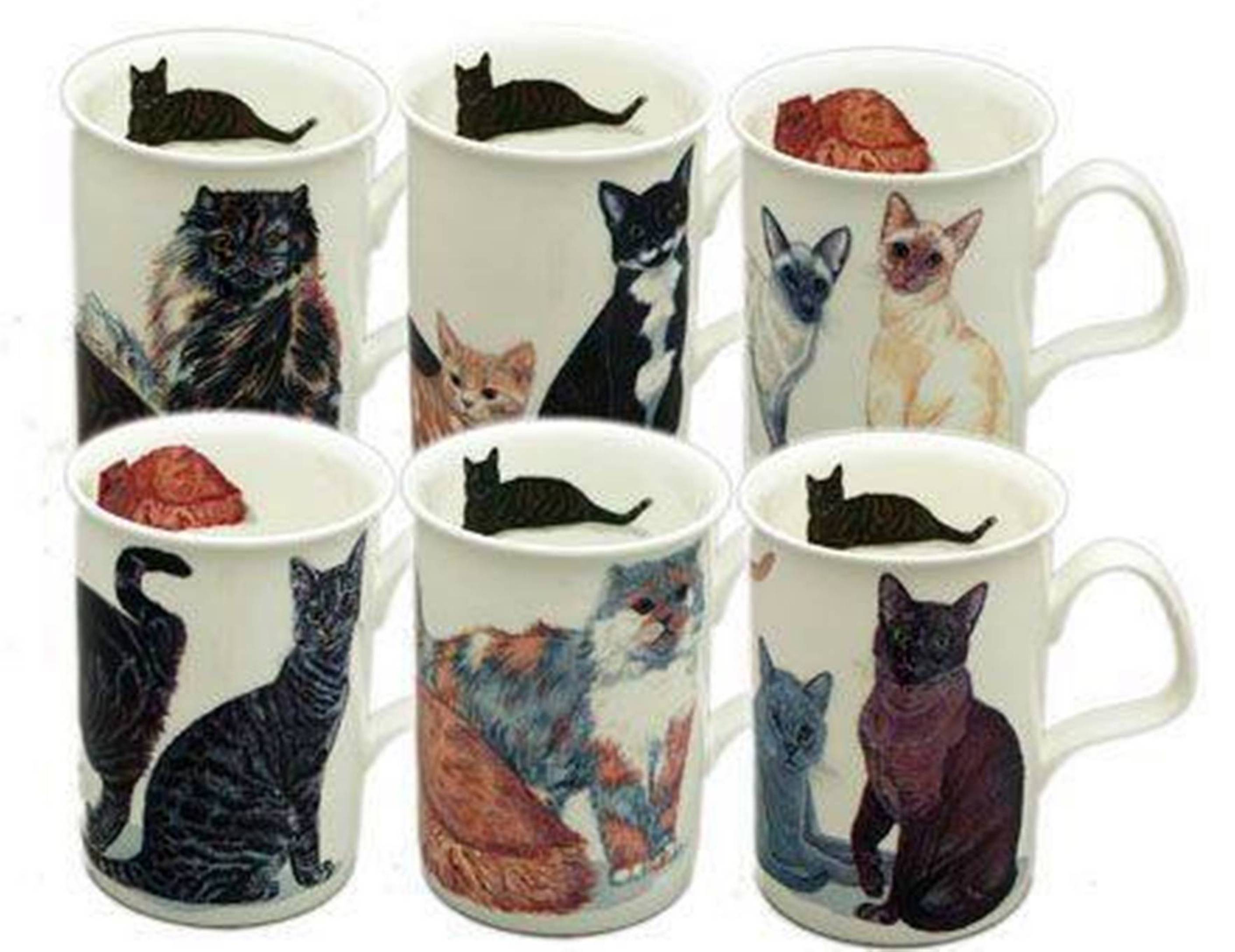 Roy Kirkham Lancaster Mug - Cats Galore Set of 6, Bone China Ceramic Made in England