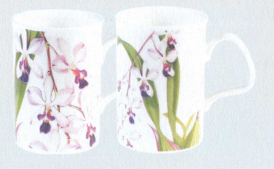 Roy Kirkham Lancaster Mug - Orchids RBG Set of 6, Bone China Ceramic Made in England