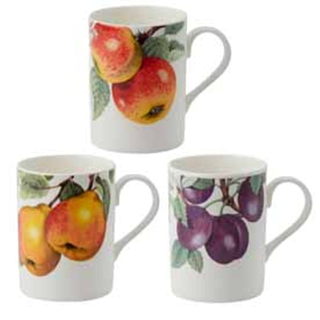 Roy Kirkham Lyric Mug - The Fruit Tree Set of 6, Bone China Ceramic Made in England