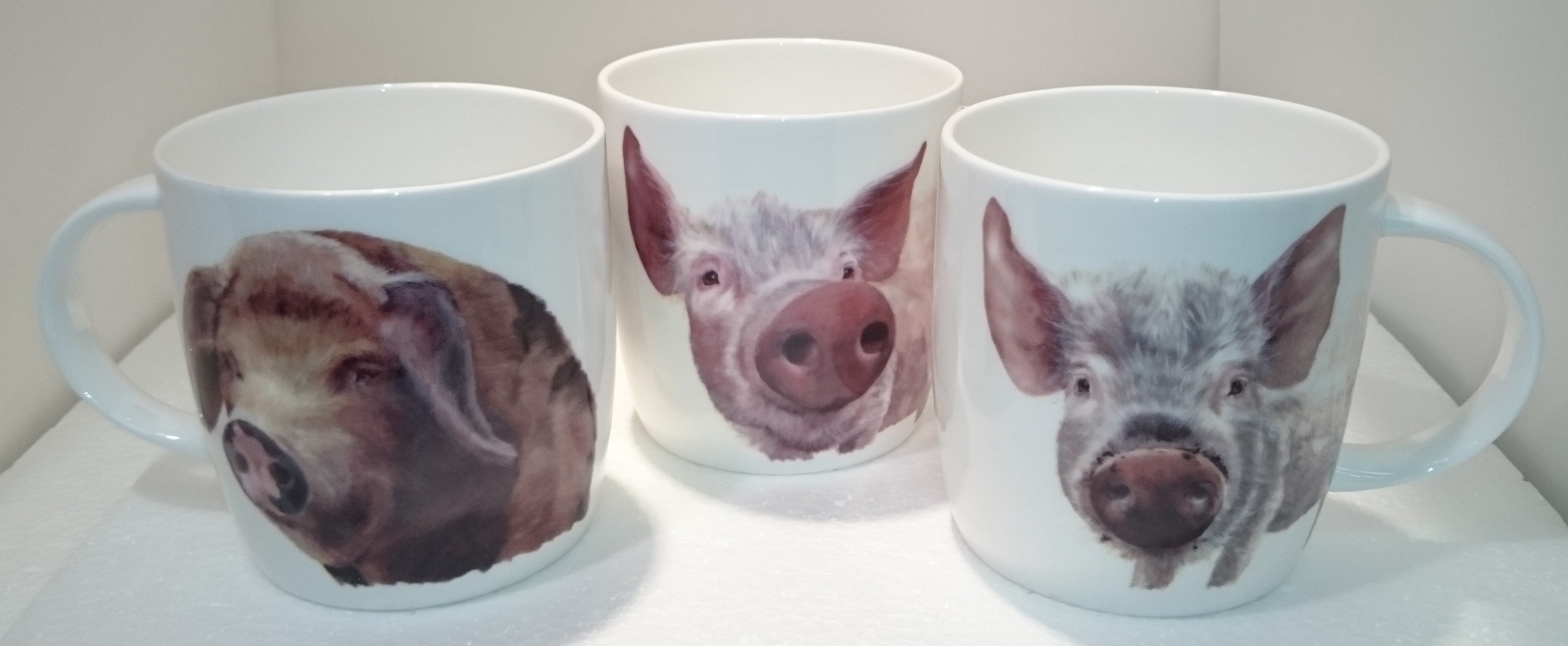 Roy Kirkham Sophie Mug - Farm Animal Pigs Set of 6, Bone China Ceramic Made in England